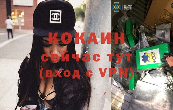 ГАЛЛЮЦИНОГЕННЫЕ ГРИБЫ Липки