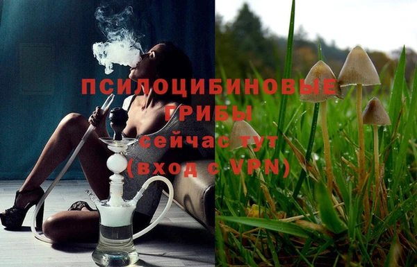 ГАЛЛЮЦИНОГЕННЫЕ ГРИБЫ Липки
