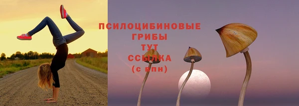 экстази Лиски