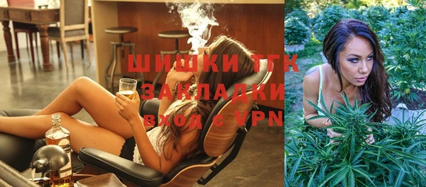 ГАЛЛЮЦИНОГЕННЫЕ ГРИБЫ Липки